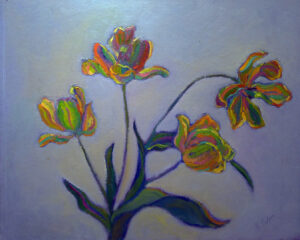Tulips Evolve
