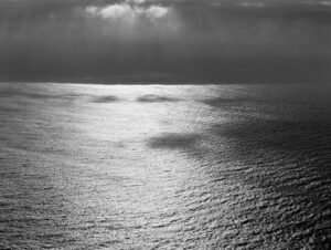 Point Lobos