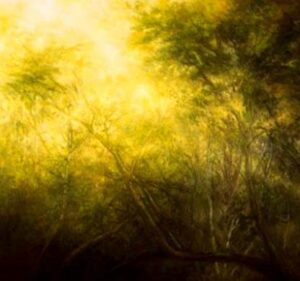 Towards the Light I