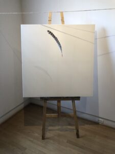 Blank Canvas with Feather 'What is Possibility' by d harris
